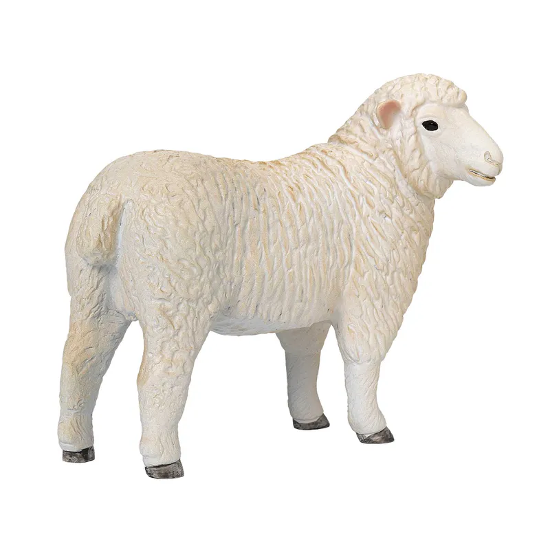Mojo Romney Sheep Ewe